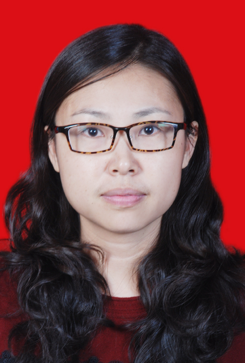 Mr. Hongwei Zhang