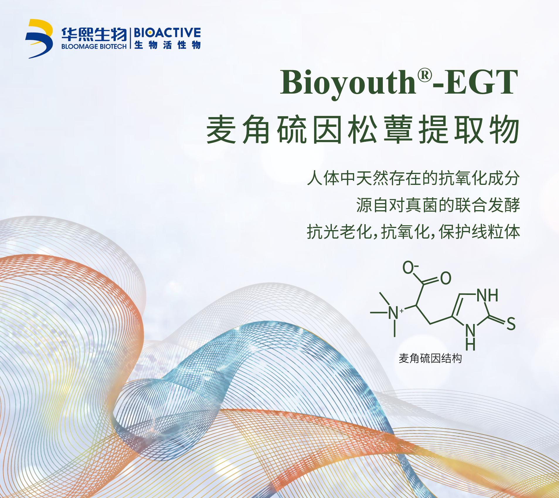 Bioyouth™-EGT Bioyouth™-EGT