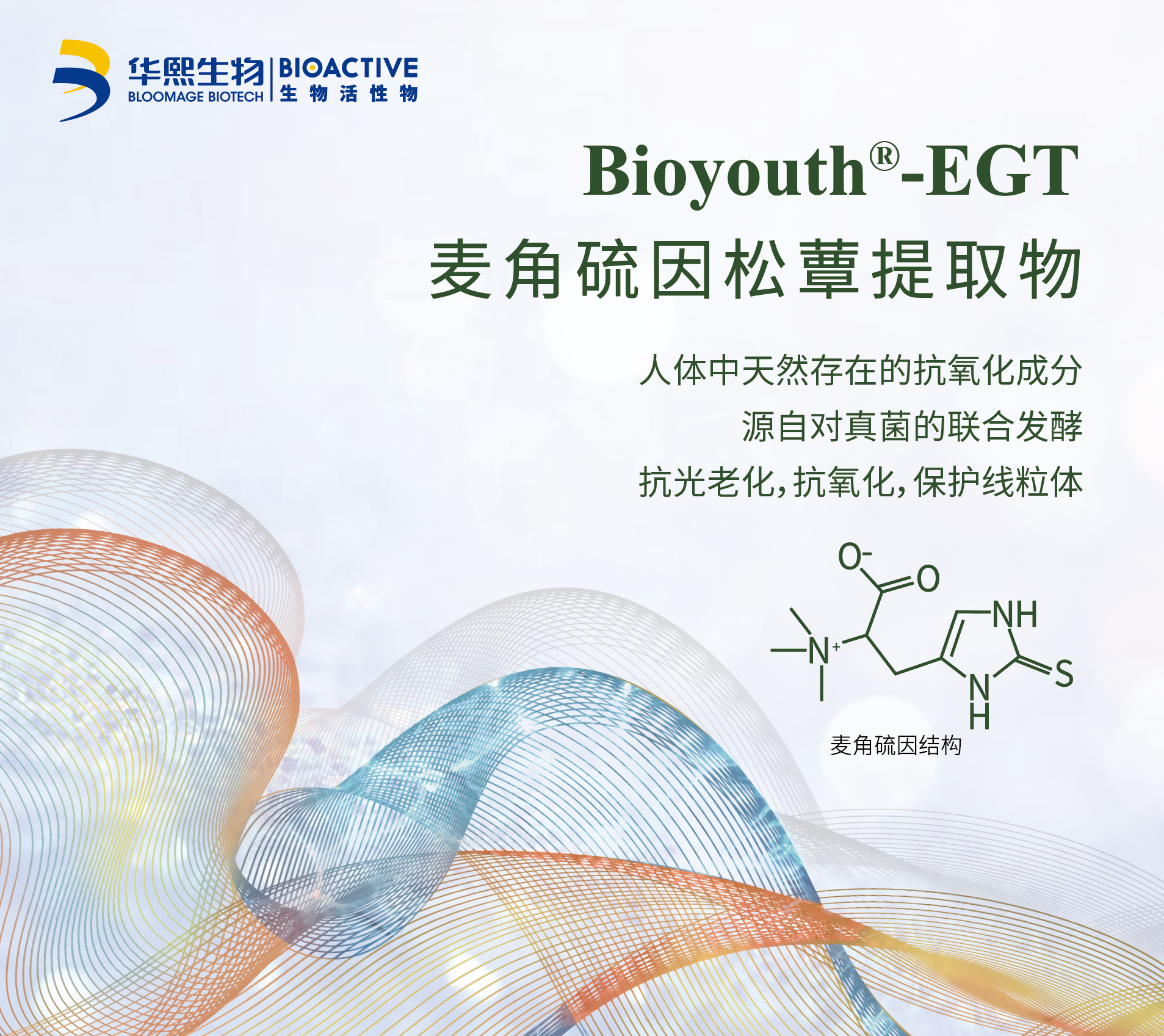 Bioyouth™-EGT