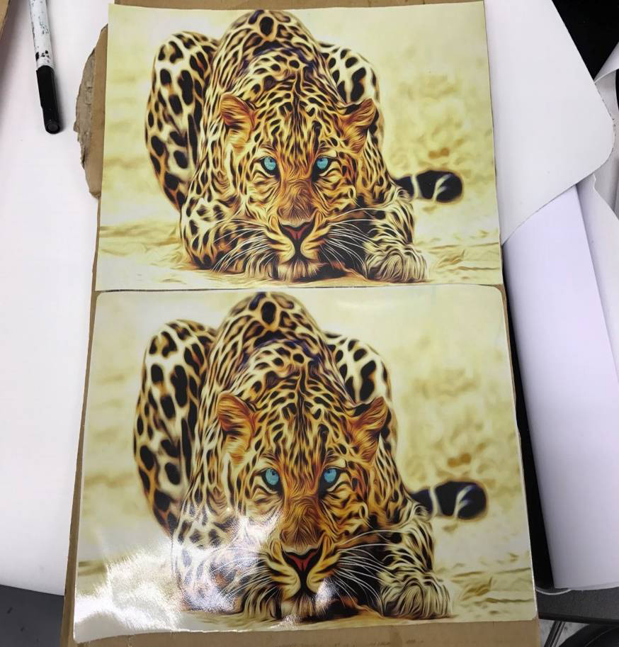 Leather Coating Leather Coating